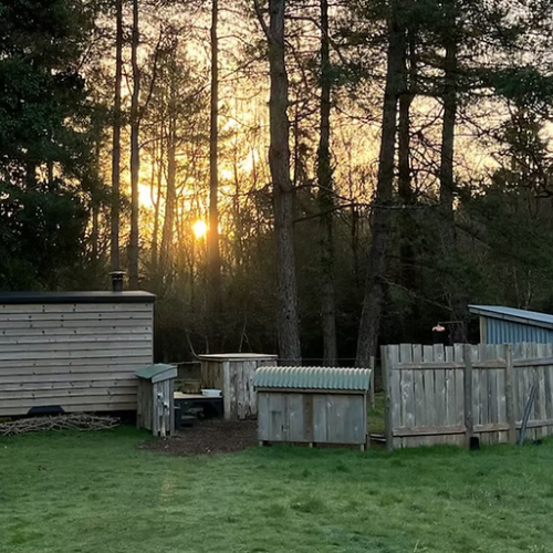 The Forest Sauna